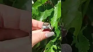 перстень с топазом с гранатом мужские цепи Георгий Победоносец Архистратиг Михаил Николай Чудотворец