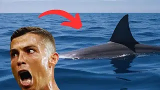 Fußballer die FAST gestorben sind