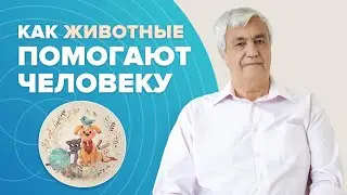 ЭНЕРГЕТИКА ЖИВОТНЫХ: Как домашние животные помогают людям