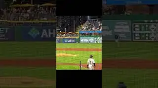 GRAPHIC: Fan falls / jumps onto the field during Pirates / Cubs game at PNC Park