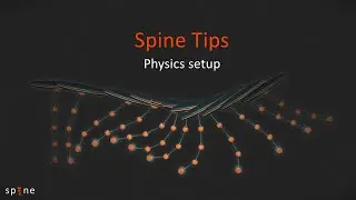 Physics setup - Spine tips #8