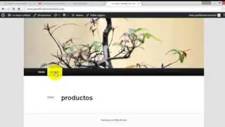 configurar mi pagina con wordpress parte 2