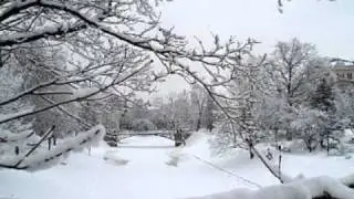 Doris Day ~~~ Let It Snow ! Let It Snow !