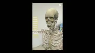 An Interactive Experience of Human Anatomy using Augmented Reality