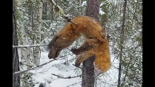 ЧЕТВЁРТЫЙ ДЕНЬ\\БЕГЛЕЦ НАШЁЛСЯ\\ВЫЕЗД