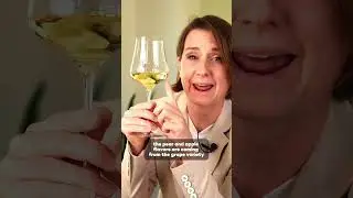 Can You Guess This White Wine? 🍷