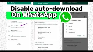How to Disable Auto-Download On WhatsApp 2024