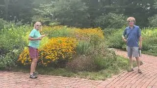 Colorful Pollinator gardens improve biodiversity