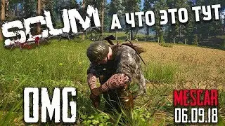 SCUM Банда - продолжение / СКАМ / Стрим в 2к