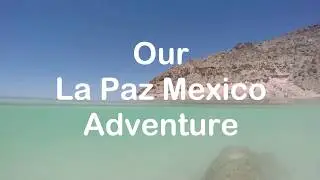 Things to do in La Paz Mexico