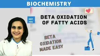 You Won't Believe the Power of Beta Oxidation in Fatty Acid Metabolism