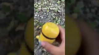 oh look a minion