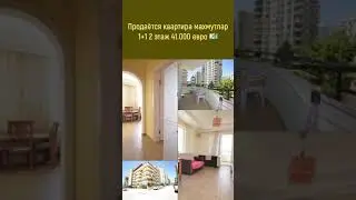 Квартира в Турции