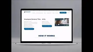 Professional Website Design And Development