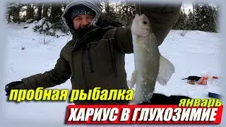 ПРОБУЕМ ЗИМНЮЮ РЫБАЛКУ НА ХАРИУСА!!! 