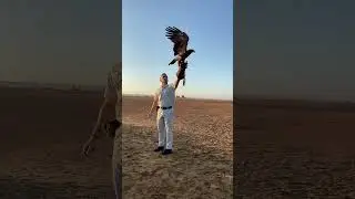 I think it's time I book another trip to the desert! #desert #travel #touringDJ