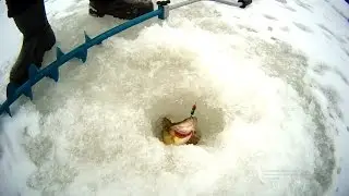 Ловля на балансир и подвесную блесну