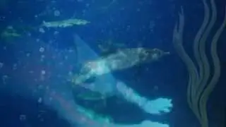 Подводный мир