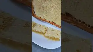 23 июля 2023 г.