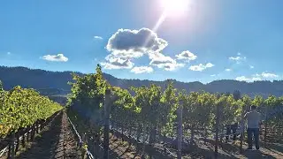 Napa Valley / Yosemite Park  San Francisco California ♥️