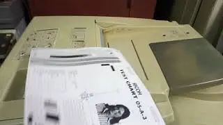 Односторонняя, двусторонняя, копия паспорта, 2 отпечатка на страницу