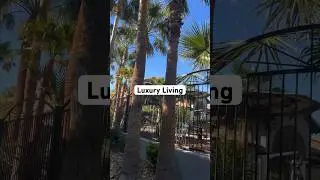 Vegas Apartment  Amenities 55+   #shorts #pool  #gym #vegas #clubhouse