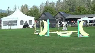 Tammy & Beau Tie  MTC for 80, 1st .65  SSITS Final Lochside Lane