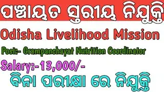 Odisha panchayat level job 2021
