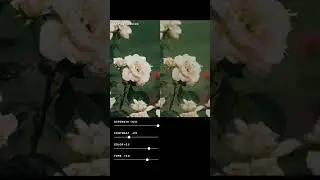 STUDIO.VSCO.CO — Add your final touches in VSCO Studio on desktop