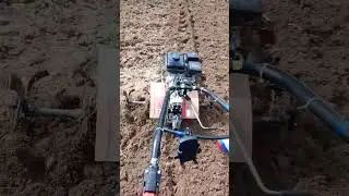 Товарищи. С первым мая!