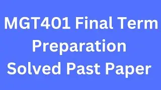 MGT401 Final term Preparation Solved Past Papers