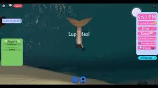 Roblox: Mako Island : Ocean World 🏝️RP(Secret)