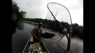 Catching Peacock Bass Rock-stone Guyana 2017