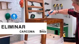 How to remove WOODWORM 🐛 Learn to detect it 🪑​ Bricomania