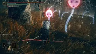 ELDEN RING Shadow of the Erdtree - First Contemplative Combats of brand new DLC