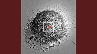 100 (feat.Nochang) (100 (FEAT.천재노창))