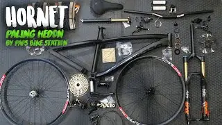 DREAM BUILD 