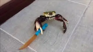 Краб с ножом