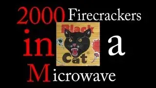 2000 Firecrackers in a Microwave