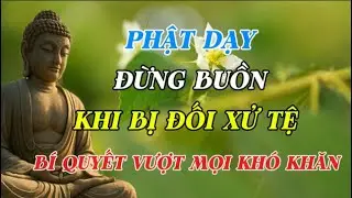 PHẬT DẠY: ĐỪNG BUỒN KHI BỊ ĐỐI XỬ TỆ – BÍ QUYẾT VƯỢT MỌI KHÓ KHĂN ĐỂ HẠNH PHÚC THẬT SỰ!