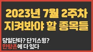 2023년 7월 2주차 한량존 관심종목