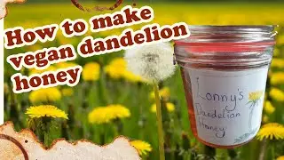 How to make Vegan Dandelion Honey, Foraging  and  making honey from wild flowers.