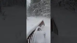 031318 Snow Storm
