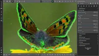 RL Deconvolution in RawTherapee II