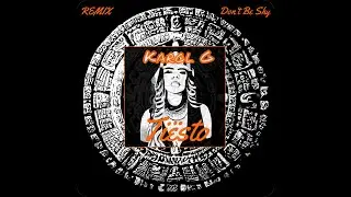 Tiësto & Karol G - Don't Be Shy ( P.H.K.--REMIX )