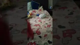 едно две опа, объркал си се