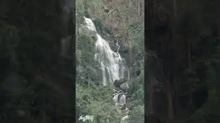 Dej tsaws tsag zoo nkauj