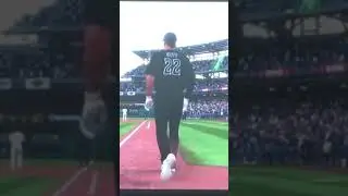 Perfect Perfect  HomeRun ￼