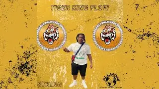 OFFICIAL TIGER KING COIN SONG | Tiger King Flow (Tking) 1000x Gem