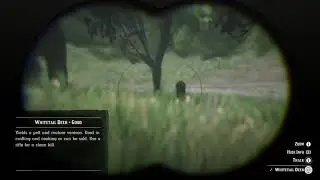 Get perfect pelt from hunting Whitetail Buck with normal bow and arrow - Red Dead Redemption 2